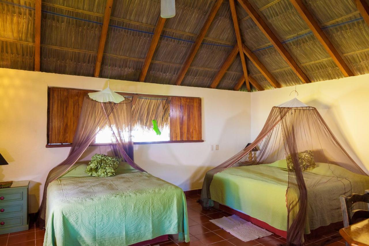 The Resort At Majahua Palms Troncones Extérieur photo